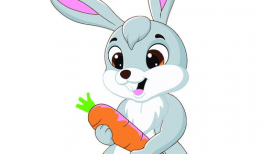 兔子 动漫,探寻兔子动漫的魅力世界