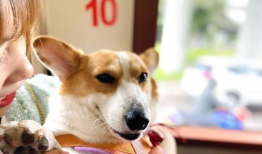 狗仔吃瓜爆料图片,揭秘明星们的“吃瓜”瞬间